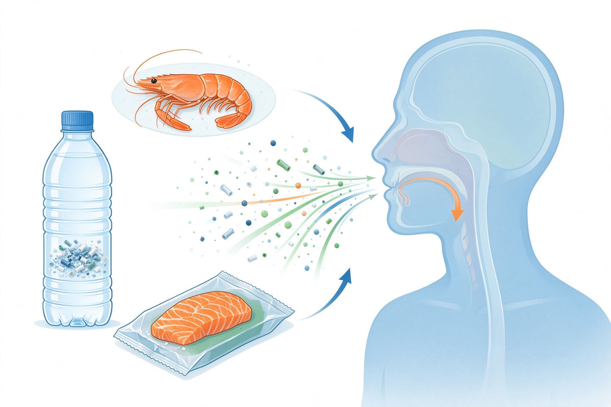 Microplastics and Human Health: From Bloodstream to Organs — What We Now Know