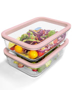 2 Pack Glass Food Storage Containers with Tempered Glass Lids & Steam Valve, 74oz(9.3 Cup) Airtight Leak-Proof Meal Prep Containers for Microwave/Oven/Freezer, Borosilicate Glass, Gift Box